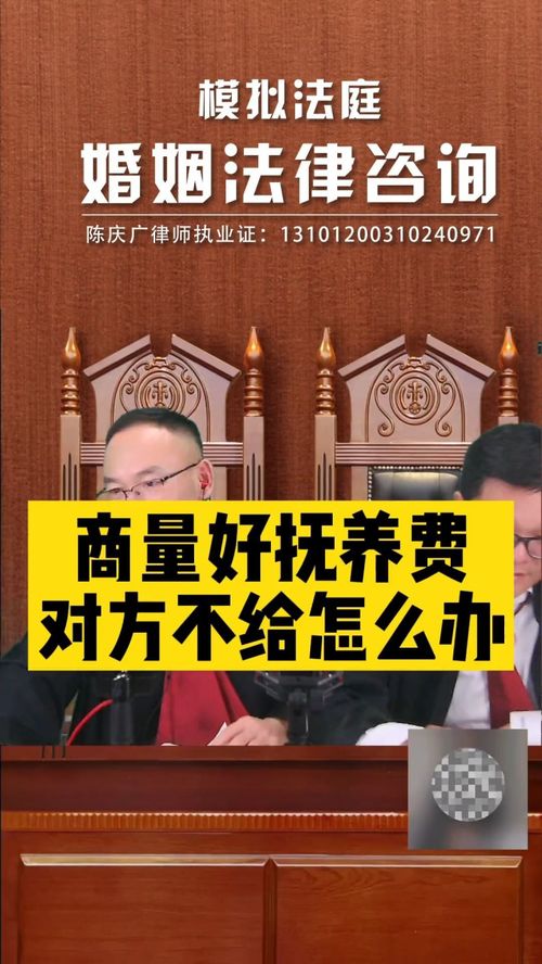 撫養(yǎng)費(fèi)協(xié)商后對方拒不支付，法律途徑如何維權(quán)？